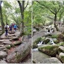 삼밭골 이미지