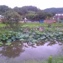 왕대골마을 이미지