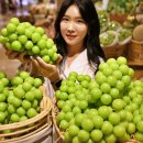 머스켓 이미지