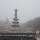 대불금강 이미지