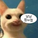 달인의똥집 본점 이미지