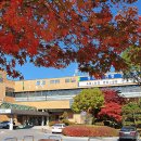 태백건재 이미지