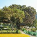 이북초등학교 | 임금이 병풍을 하사한 '한림면 어병마을'