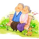 중앙시니어통합복지센터 이미지