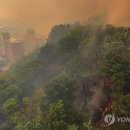 대구팔달초등학교 이미지