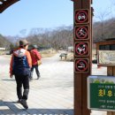 금대에코힐링캠핑장 이미지