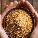 맑은숲365한의원 이미지