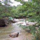 솔밭캠프 이미지