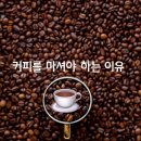 커피와이유 이미지