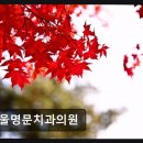 서울명문치과의원 네이버블로그