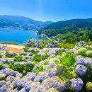 접시꽃민박 이미지