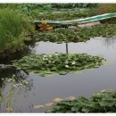 동국농장 이미지