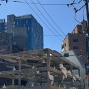 모메조은거 이미지