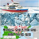 플랜B트레블 | 🇯🇵 홋카이도 오호츠크해 🧊유빙 보러 가는법, 체험 - 아바시리 오로라 쇄빙선, 유빙워크