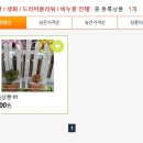 늘봄꽃조경