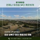 안산파크푸르지오아파트 | 안산 상록구 파크푸르지오아파트 인테리어 청소현장 후기