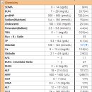 박물관옆동물병원 이미지