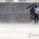 소나기 이미지