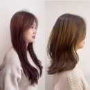윤서희헤어