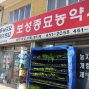 보성종묘농약사 네이버블로그