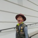 그리피스모텔 이미지