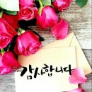 정자천로 네이버블로그