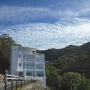 아침향기 | 통창 가득 숲을 담은 양평펜션, 아침향기펜션후기