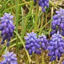 동일 작은도서관 이미지