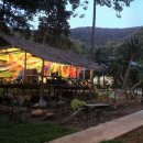 호텔정글(jungle) 이미지