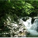 지리산쌍계한의원탕제원 네이버블로그