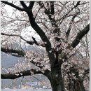 함벽정 이미지
