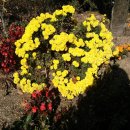 압구정초등학교 이미지