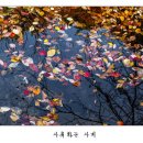 아름다운 동행전 이미지