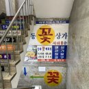 두바이 무도장 이미지