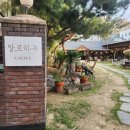 사진 80장 찍고 정신 차리니 커피가 다 식었어요 (알로하녹 후기)