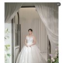 아모르데이A | 대전 본식 스냅 비교 / 여백스냅 최종 계약 후기 짝꿍코드 O (온더데이, 브리앙뜨, 메리에라, 여백스냅)