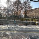 정우원 | [광화문 전시 후기] 덕수궁길 두손 갤러리 - 정우원 개인전 <Watching Budda: Look inside> 키네틱아트...