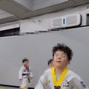 용인대 백호 태권도장 이미지