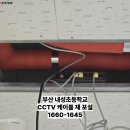 내성초등학교 티스토리