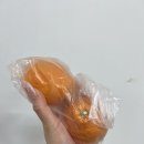 유림 | 제주 유림 감귤 체험 농장