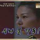 뽀바뽀바 이미지