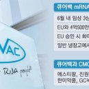 큐어엔 티스토리