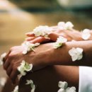 이화바이오약국 이미지