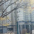 튼튼공인중개사사무소 이미지