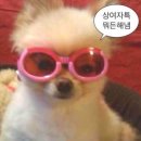 충무체육관 이미지