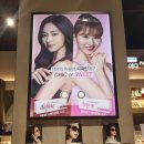 룩옵티컬 LF광양점 이미지