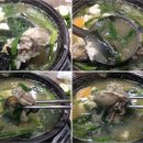 장안바다향 이미지