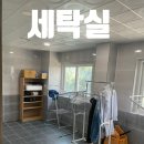 대지식육유통 이미지