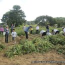 흥부 농장 이미지