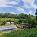 숲이랑농원 이미지